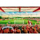 Crown Ground Stadium Fine Art Print - Accrington Stanley FC